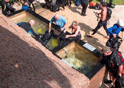 women peeing public|Watersports .